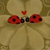 jmarie729